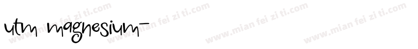 utm magnesium字体转换